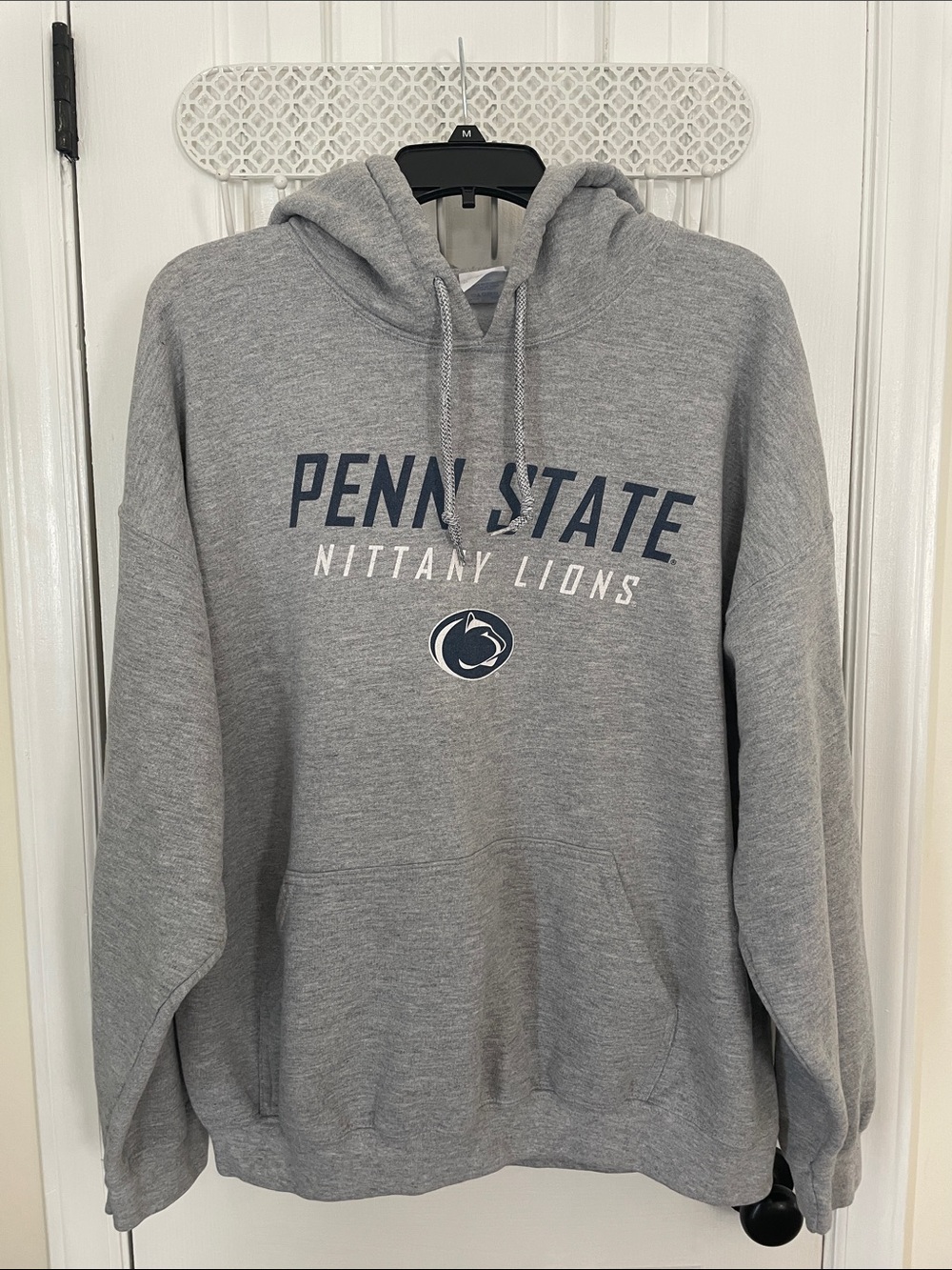 Penn State Nittany Lions Gray Hoodie Sweatshirt. Nice n comfy.